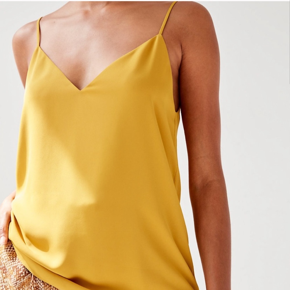 Aritzia Babaton Everly Camisole (Cairo)